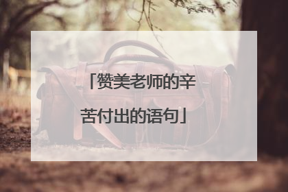 赞美老师的辛苦付出的语句