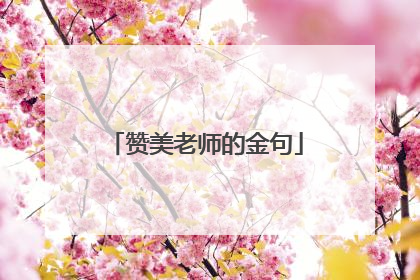 赞美老师的金句