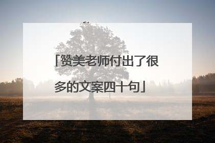 赞美老师付出了很多的文案四十句