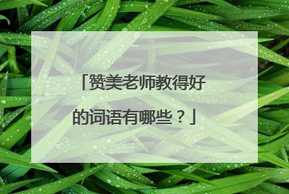 赞美老师教得好的词语有哪些?