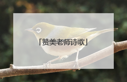 赞美老师诗歌