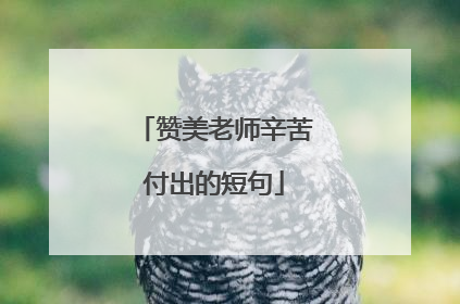 赞美老师辛苦付出的短句