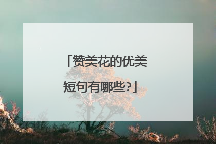 赞美花的优美短句有哪些?