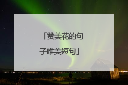 赞美花的句子唯美短句