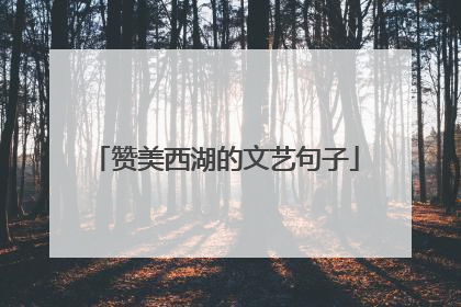 赞美西湖的文艺句子