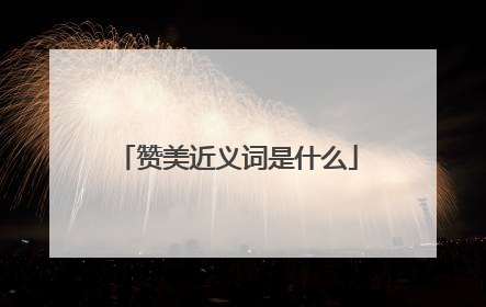 赞美近义词是什么