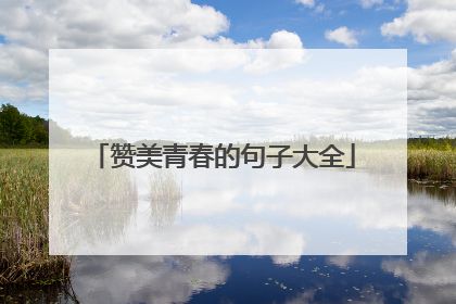 赞美青春的句子大全