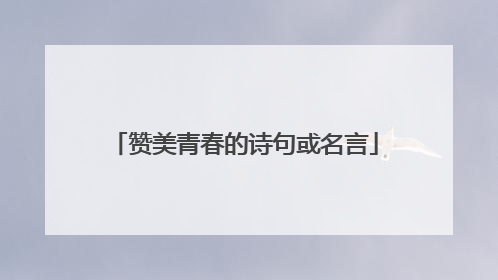 赞美青春的诗句或名言