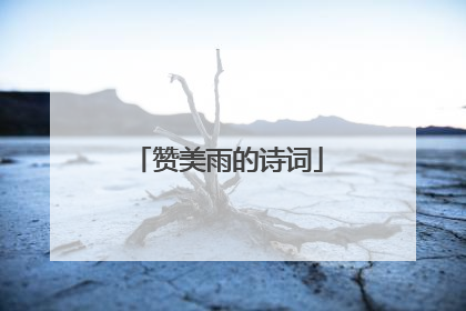 赞美雨的诗词