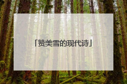 赞美雪的现代诗