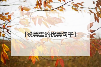 赞美雪的优美句子