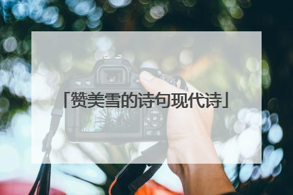 赞美雪的诗句现代诗