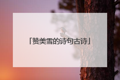 赞美雪的诗句古诗