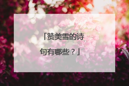 赞美雪的诗句有哪些？