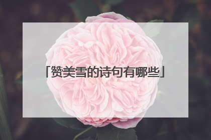 赞美雪的诗句有哪些