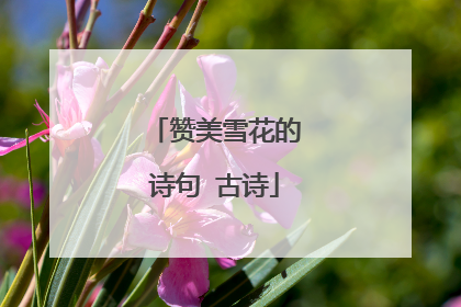 赞美雪花的诗句 古诗