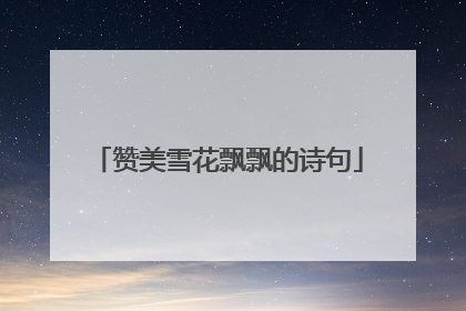 赞美雪花飘飘的诗句