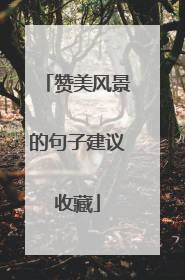 赞美风景的句子建议收藏