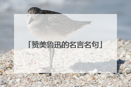 赞美鲁迅的名言名句