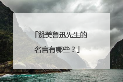 赞美鲁迅先生的名言有哪些?