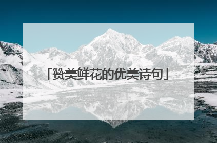 赞美鲜花的优美诗句