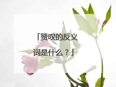 赞叹的反义词是什么？