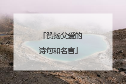赞扬父爱的诗句和名言