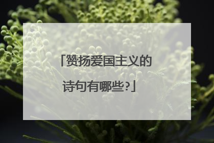 赞扬爱国主义的诗句有哪些?