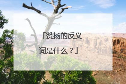 赞扬的反义词是什么？