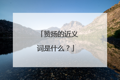 赞扬的近义词是什么?