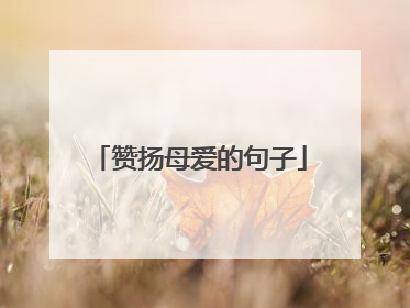 赞扬母爱的句子