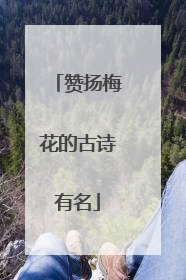 赞扬梅花的古诗有名
