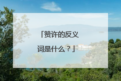 赞许的反义词是什么?