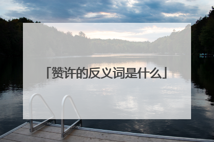 赞许的反义词是什么