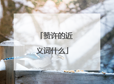 赞许的近义词什么