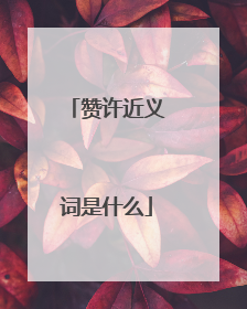 赞许近义词是什么