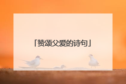 赞颂父爱的诗句