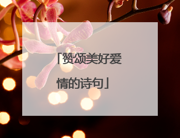 赞颂美好爱情的诗句