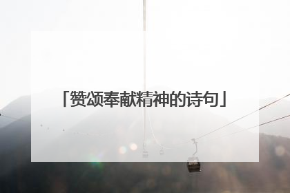 赞颂奉献精神的诗句