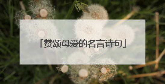 赞颂母爱的名言诗句
