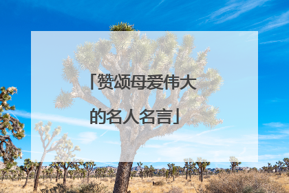 赞颂母爱伟大的名人名言