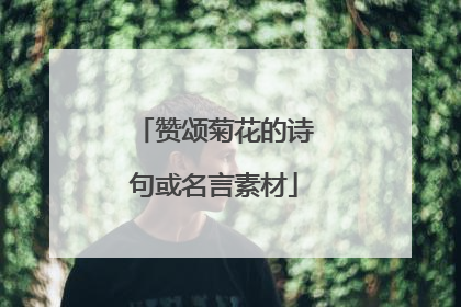 赞颂菊花的诗句或名言素材