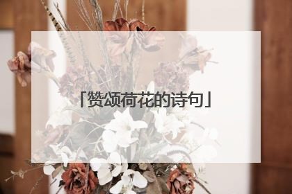 赞颂荷花的诗句