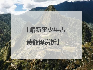 赠新平少年古诗翻译赏析