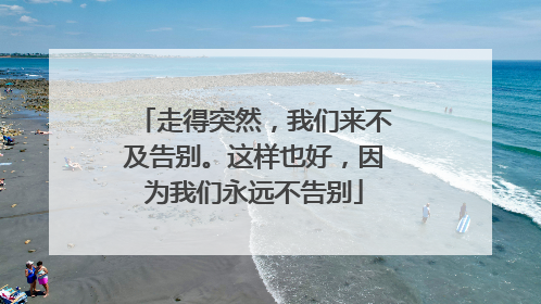走得突然，我们来不及告别。这样也好，因为我们永远不告别