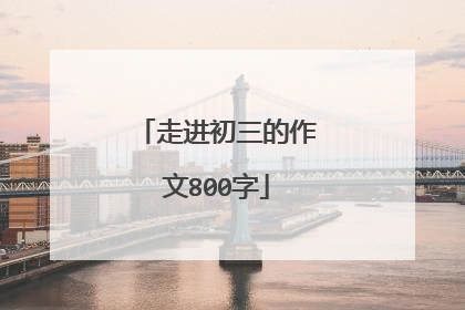 走进初三的作文800字