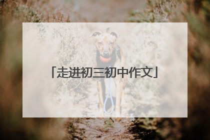 走进初三初中作文