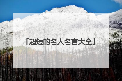 超短的名人名言大全