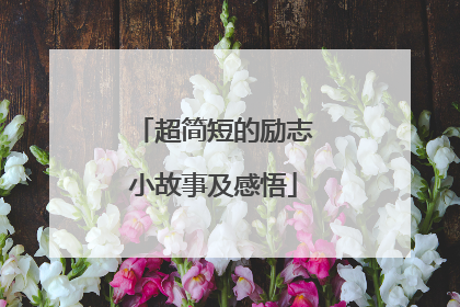 超简短的励志小故事及感悟