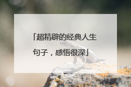 超精辟的经典人生句子,感悟很深